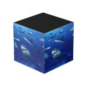 Cube en photo de requins (Angle arrière)
