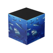 Cube en photo de requins (Angle devant)