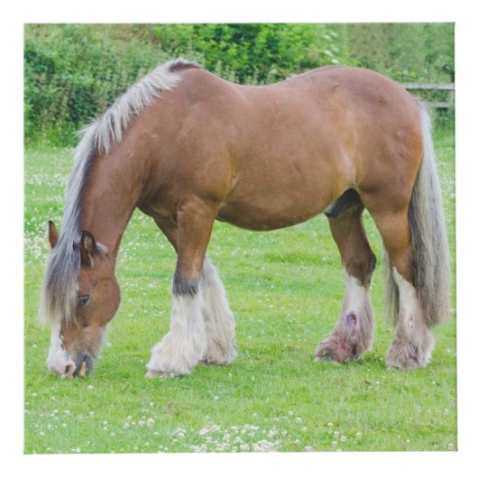 Cube fait sur commande en photo de l'amant de (Droite)