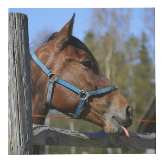 Cube fait sur commande en photo de l'amant de (Devant)