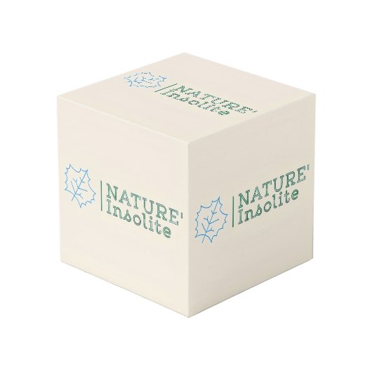 Cube "logo" 10cm (Angle devant)