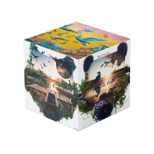 Cube Photo (Angle devant)