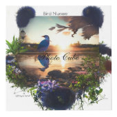 Cube Photo (Droite)