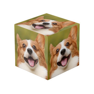 Cube Photo Ajouter photo de chien personnalisé Customisé