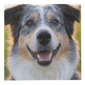 Cube Photo Ajouter une photo de l'animal Personnaliser (Droite)