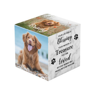Cube Photo Bienheureux trésor Sympathie animal de compagnie p