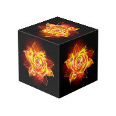 Cube Photo Blooming Fire Rose (Angle arrière)