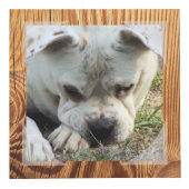 Cube Photo - Cadre Faux Bois - HAMbWG (Droite)