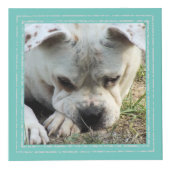 Cube photo - Cadre souple - HAMbWG (Droite)