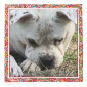 Cube photo - cadres couleur primaires - HAMbWG (Droite)