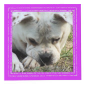 Cube photo - Cadres de couleur vive - HAMbWG (Droite)