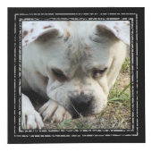 Cube photo - Cadres noirs - HAMbWG (Droite)