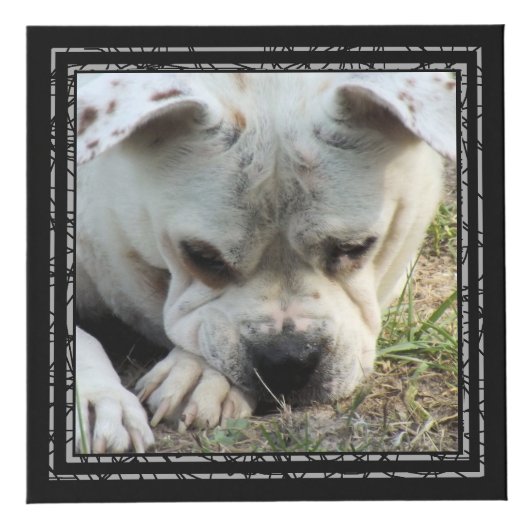 Cube photo - Cadres noirs - HAMbWG (Droite)