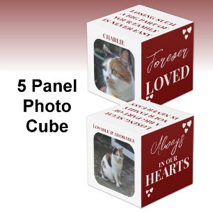 Cube Photo Cat Sympathy Keepsaké Pet Memorial maroon photo