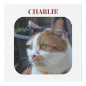 Cube Photo Cat Sympathy Keepsaké Pet Memorial maroon photo (Devant)