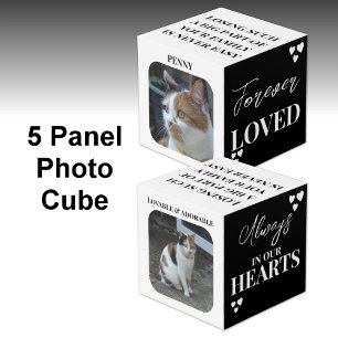 Cube Photo Cat Sympathy Keepsaké Pet Memorial photo noir