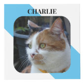 Cube Photo Chat Sympathy Keepsaké animal photo bleue (Devant)