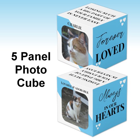 Cube Photo Chat Sympathy Keepsaké animal photo bleue