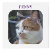 Cube Photo Chat Sympathy Keepsaké animal photo violet Memoria (Devant)