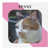 Cube Photo Chat Sympathy Keepsaké Pet Memorial photo rose (Devant)