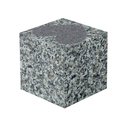 Cube Photo Commémoratif (Angle arrière)