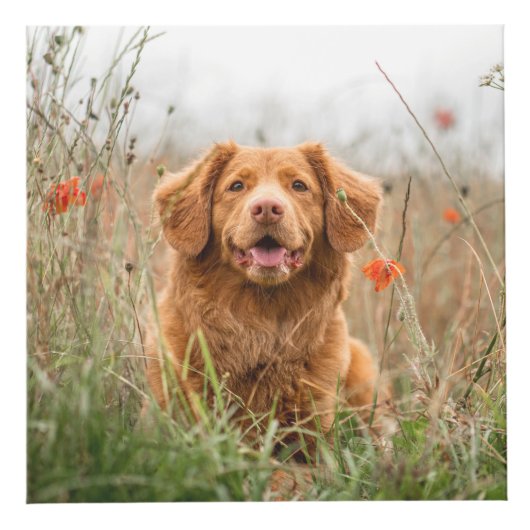 Cube photo commémorative de chien de compagnie (Droite)