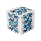 Cube Photo Composition des White and Blue Butterflies (Angle arrière)