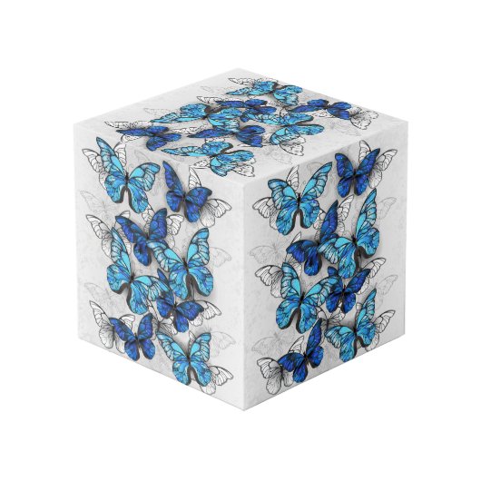 Cube Photo Composition des White and Blue Butterflies (Angle arrière)