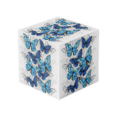 Cube Photo Composition des White and Blue Butterflies (Angle devant)