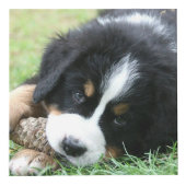 Cube Photo Créez votre propre famille photo collage monogramm (Devant)