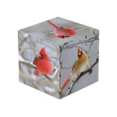 Cube Photo Cube_Photo_Cardinaux (Angle arrière)