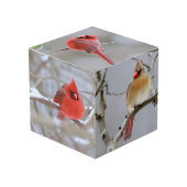 Cube Photo Cube_Photo_Cardinaux (Angle devant)