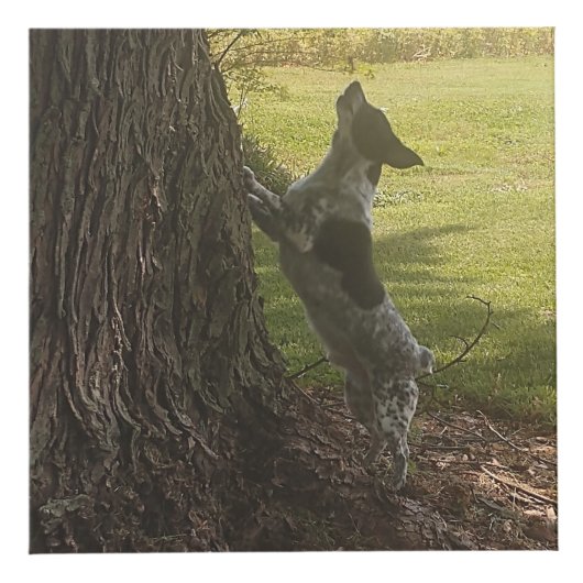 Cube photo customisé (Droite)