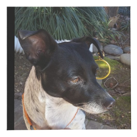 Cube photo customisé (Devant)