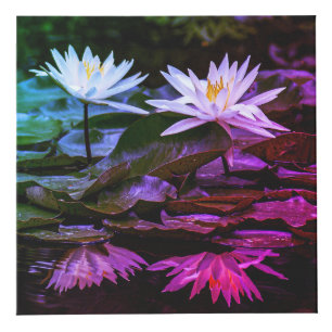 Cube photo de 4 po inspiré par la nature