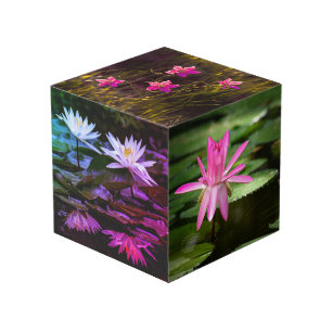 Cube photo de 4 po inspiré par la nature