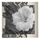 Cube Photo dentelle noire (Droite)