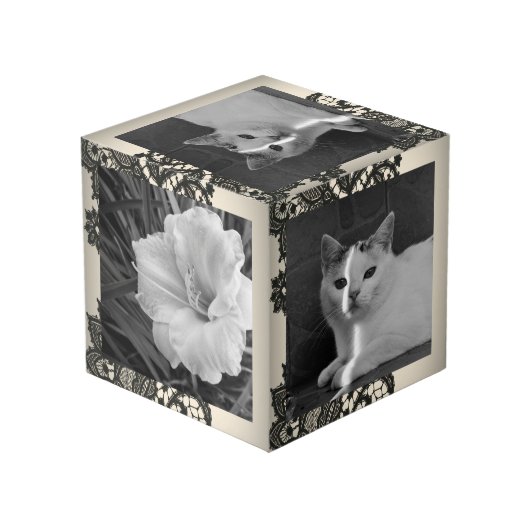 Cube Photo dentelle noire (Angle arrière)