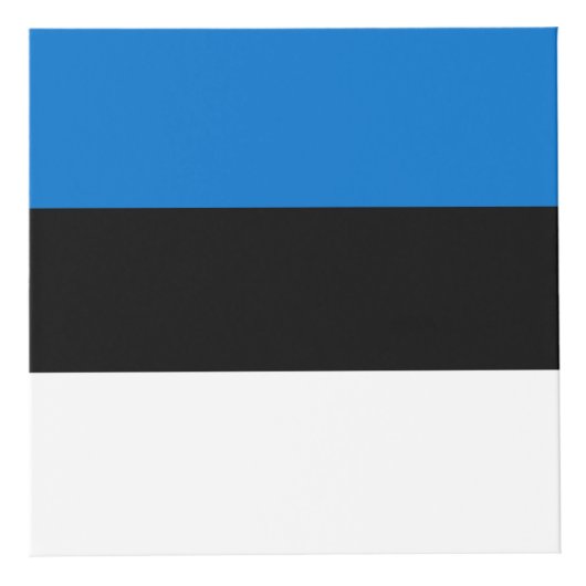 Cube Photo Drapeau de l'Estonie (Droite)