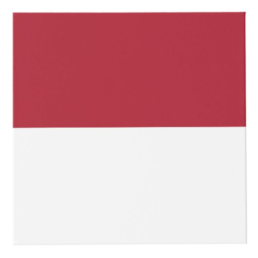 Cube Photo Drapeau de Monaco (Devant)