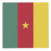 Cube Photo drapeau du Cameroun (Devant)