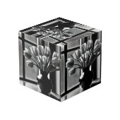 Cube Photo "Élégance monochrome : Tulipe blanche noire et vie (Angle arrière)