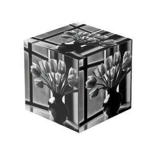 Cube Photo "Élégance monochrome : Tulipe blanche noire et vie