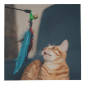 Cube Photo En mémoire d'amour Coeur de pattes de chat sur l'o (Droite)