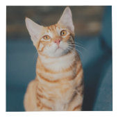 Cube Photo En mémoire d'amour Coeur de pattes de chat sur l'o (Devant)