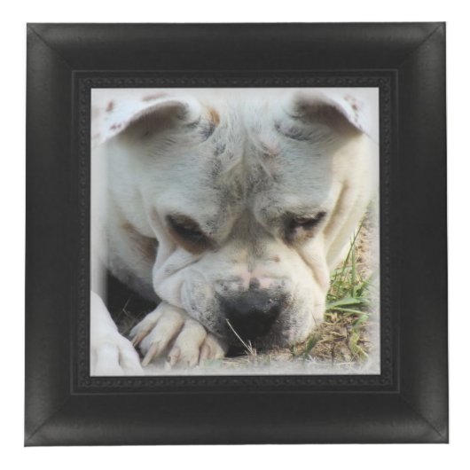 Cube photo - Faux Frame - HAMbWG (Droite)