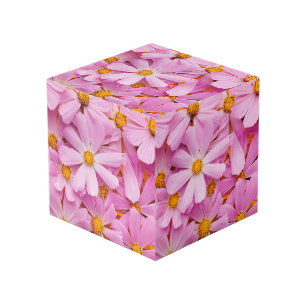 Cube Photo Fleurs roses