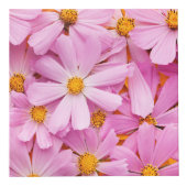 Cube Photo Fleurs roses (Devant)