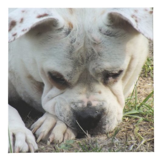 Cube photo - HAMbWG (Droite)