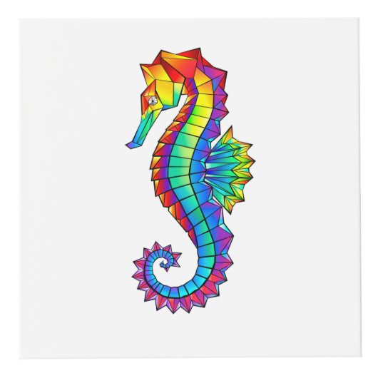 Cube Photo Hippocampe polygonal arc-en-ciel (Droite)